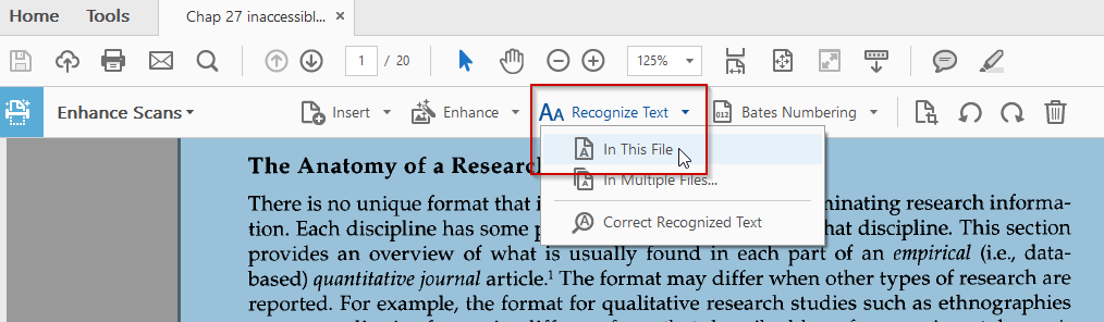 Acrobat DC Recognize Text toolbar with "In this file" selected