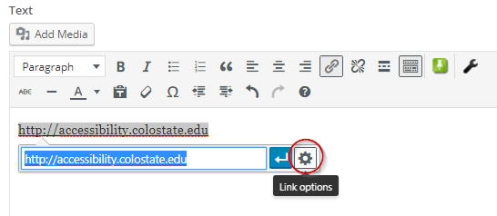 WordPress Link options button on insert link dialog