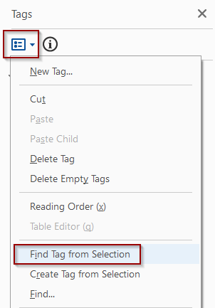 Tag Options menu with Find Tag from Selection