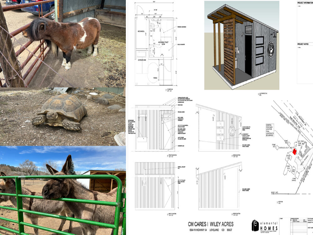 Collage of plans for restroom, small horse, large tortoise, donkeys