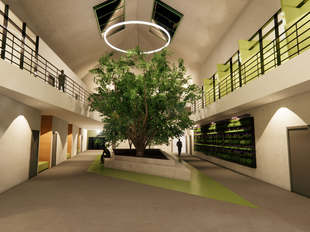 The Kigali Green Campus lobby entrance with tree centerpiece and two-tiered space.