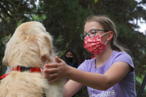 A student interacting with a dog from the Human-Animal Bond in Colorado program