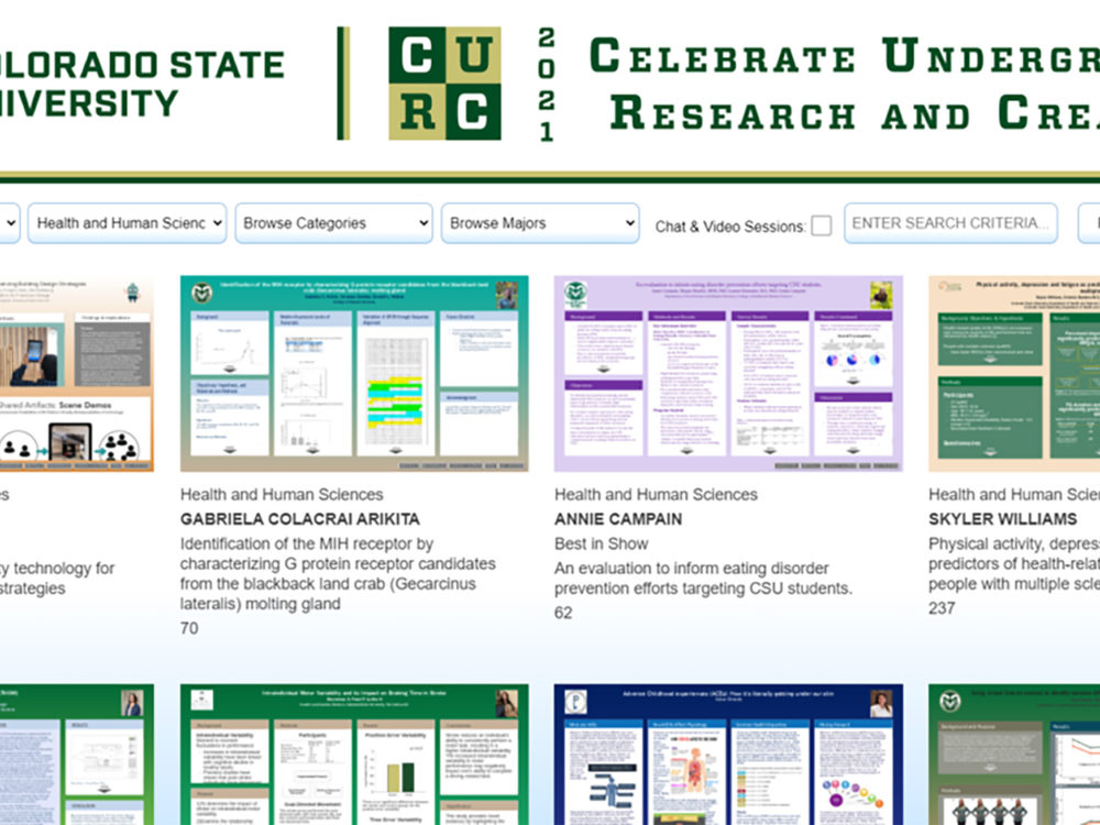 Colorado State University CURC 2021 Celebrate Undergraduate Research and Creativity poster gallery website