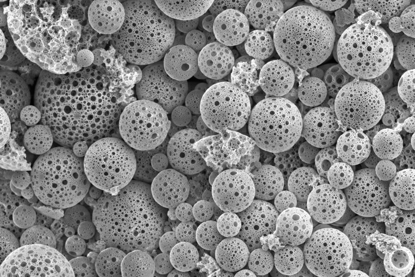 microscope enhanced circular nano particles