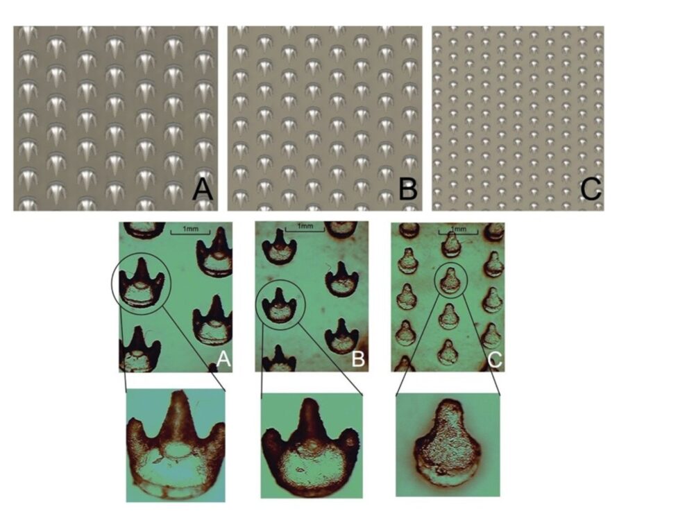 A series of 3 images each in 3 levels of magnification that showcase sharkskin fabrication in textiles