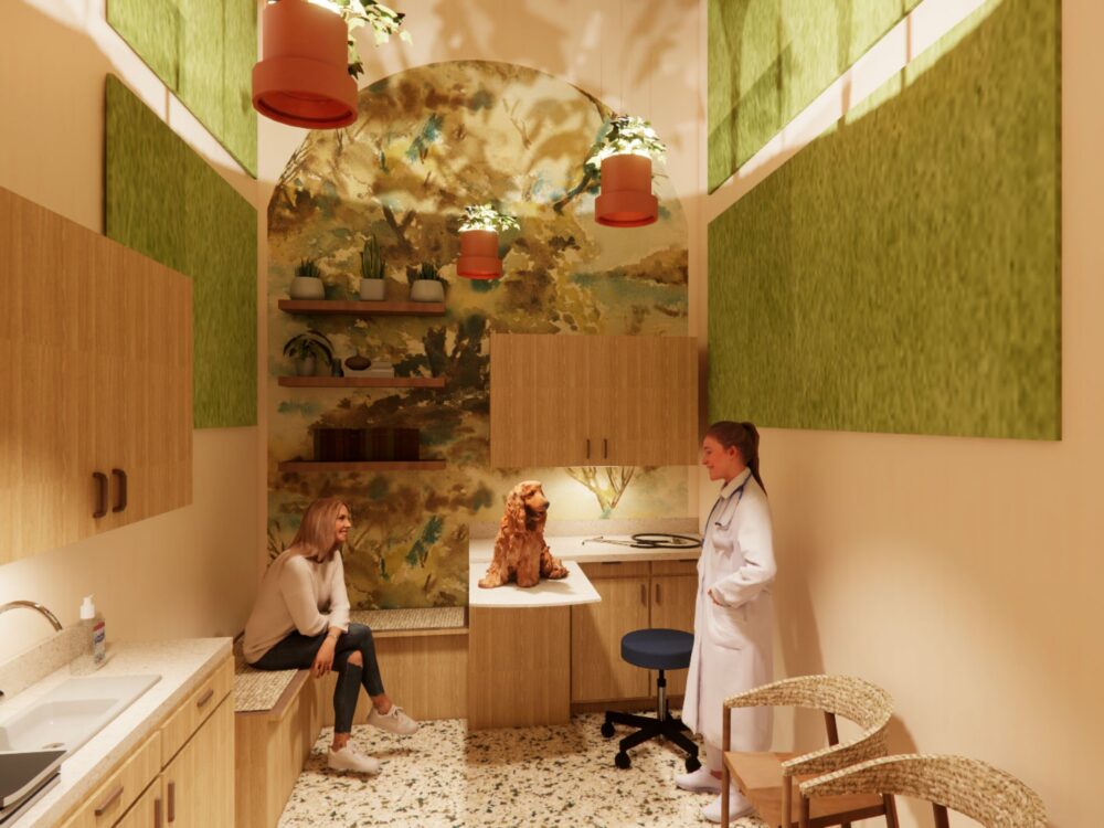 A warm veterinary exam room with wood cabinetry, botanical wall art, hanging planters, and a pet sitting on the counter during a consultation.