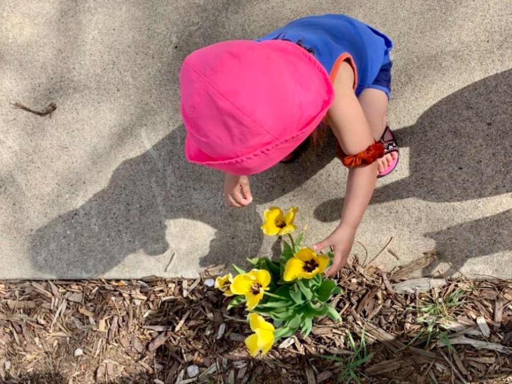 child outdoors reaching for flowers