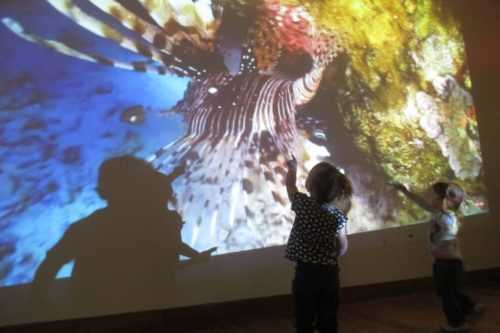 Children play with an image projected on the wall