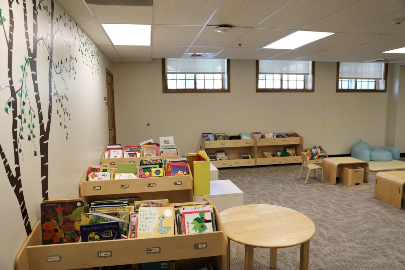 Short wooden shelves of books in an ECC reading room