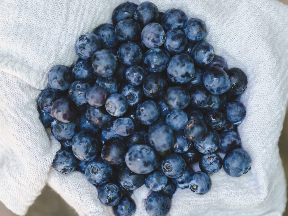Blueberries