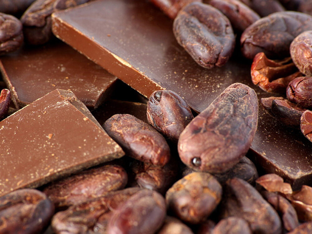 dark chocolate and cocoa beans