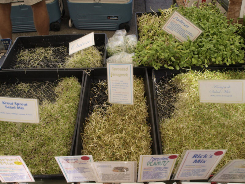 sprouts at farmers market