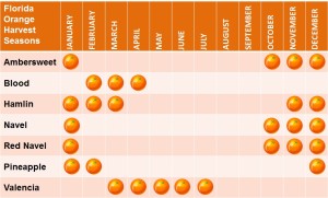 A graph showing the harvest seasons for different types of oranges, subject to mother nature.