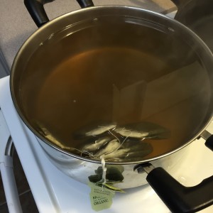 ,Organic green tea steeping in a mixture of distilled water and sugar. Photo by David Dekevich.