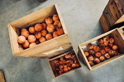 Peaches in crates