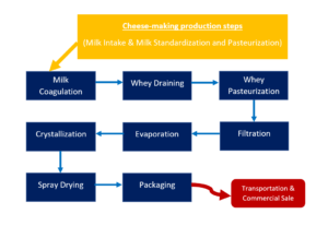 Infographic showing the production process of whey protien