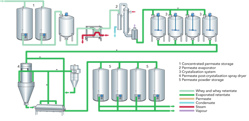 Infographic showing the whey filtration process