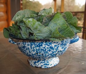 Fresh collard greens in a blue and white bowl