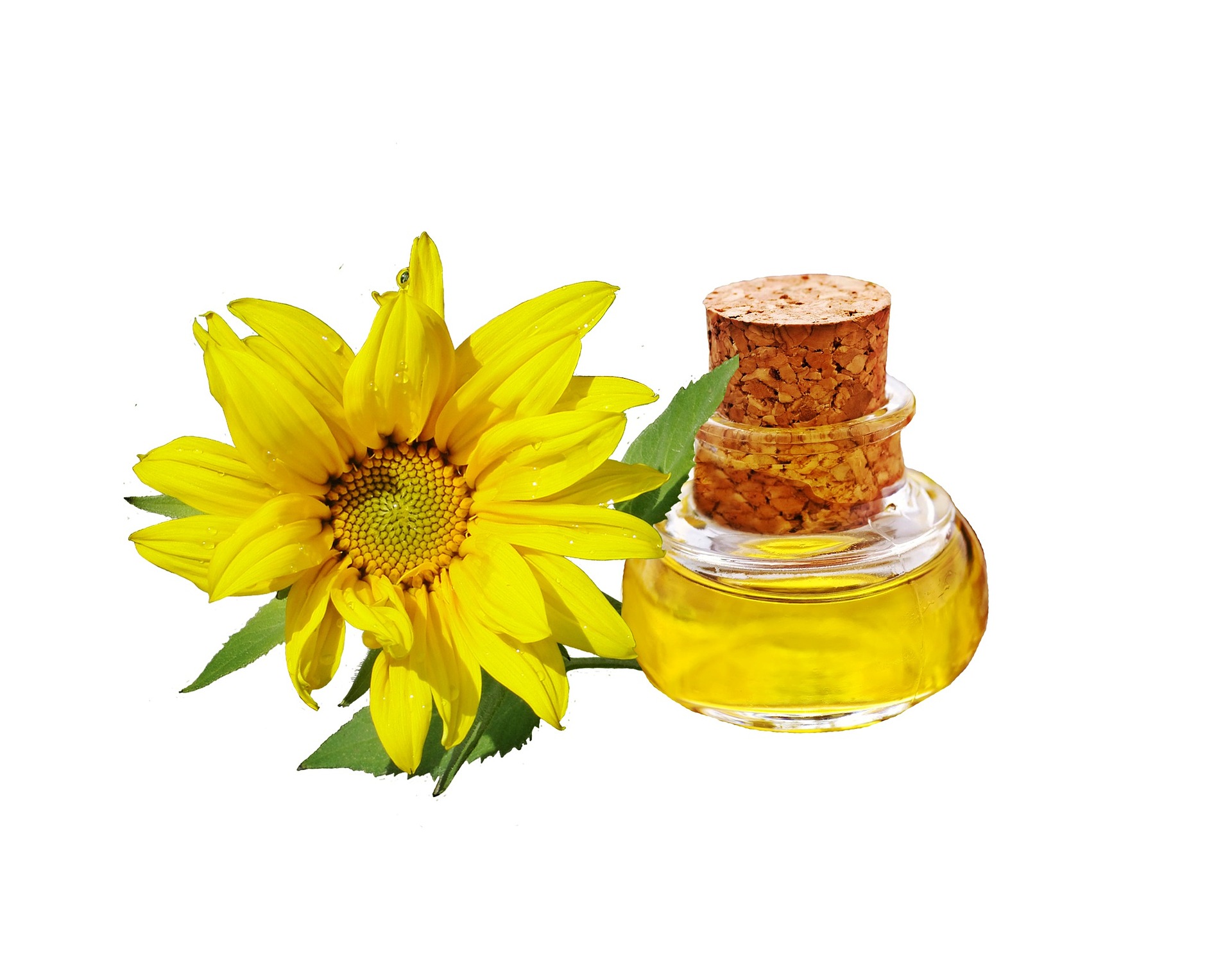 A sunflower and a bottle of sunflower oil