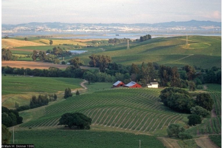An aerial view of a winery