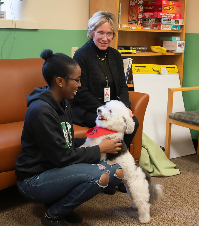 student interacting with HABIC dog