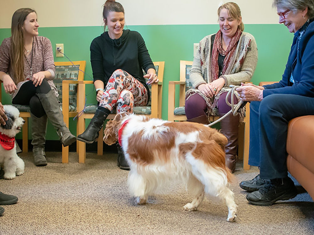 HABIC dog interacting with students