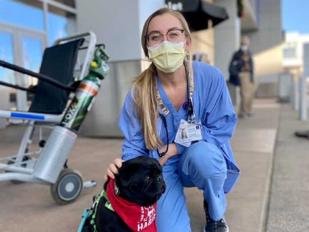 human-animal bond in colorado therapy dog with healthcare worker