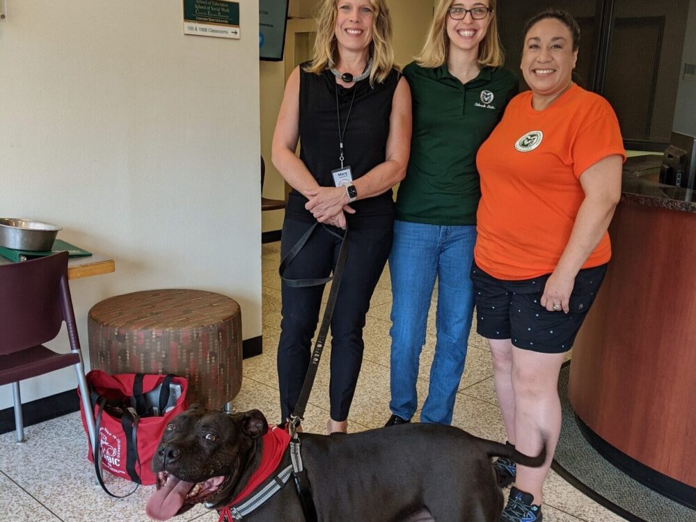 habic volunteer and two csu employees with therapy dog