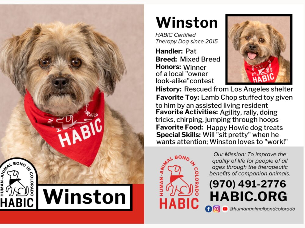 habic dog winston's trading card
