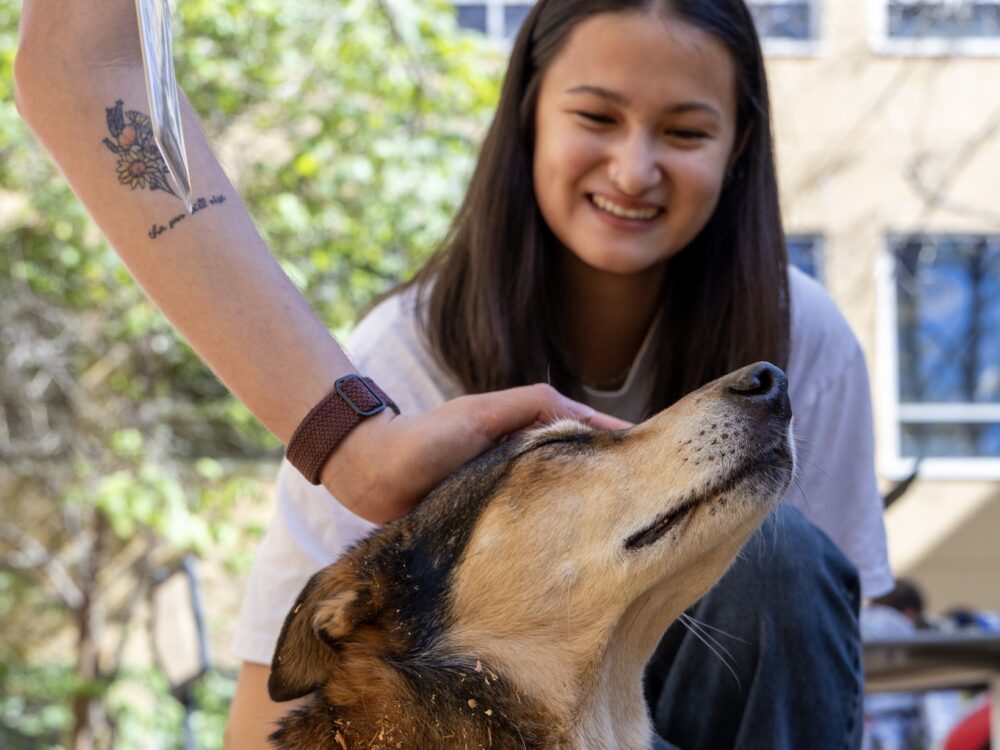 HABIC therapy dog being petted with a young woman in the background smiling