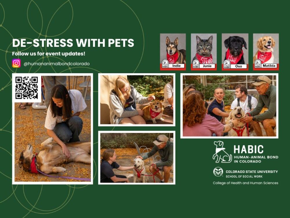 graphic art poster for de-stress with pets events on csu campus with images of people and dogs and habic logo and school of social work logo