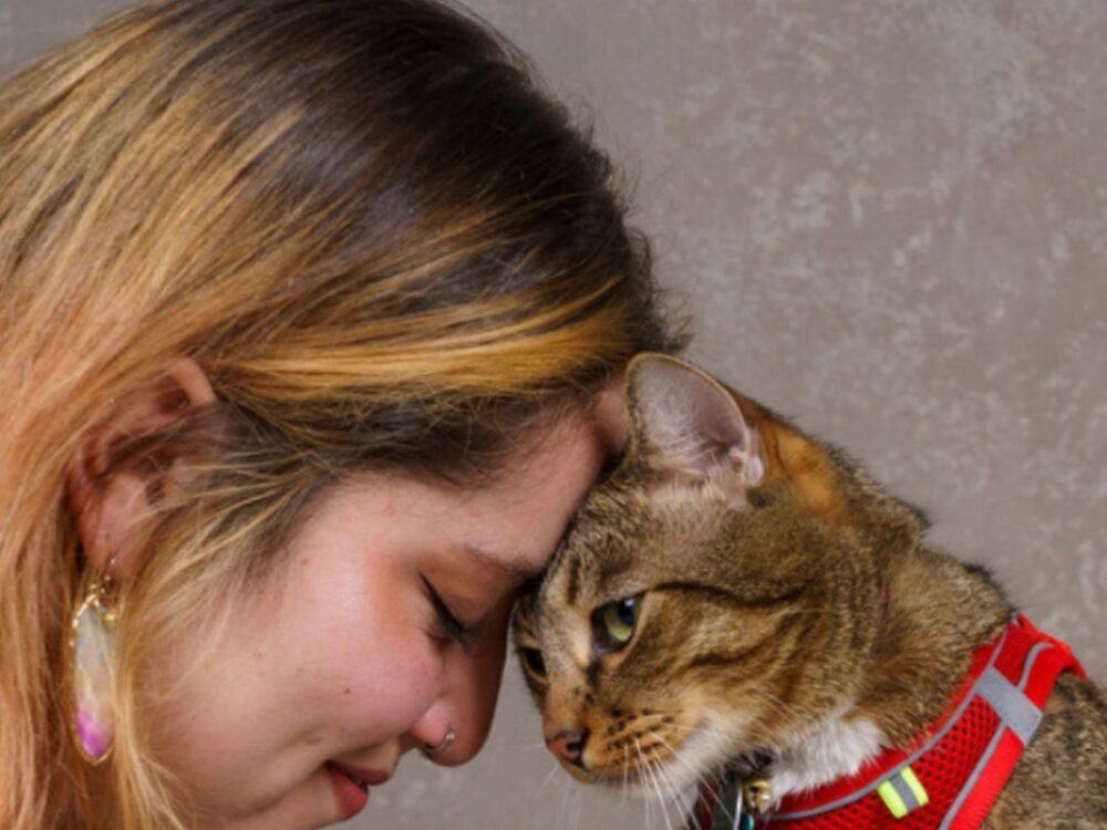 person and cat touching foreheads