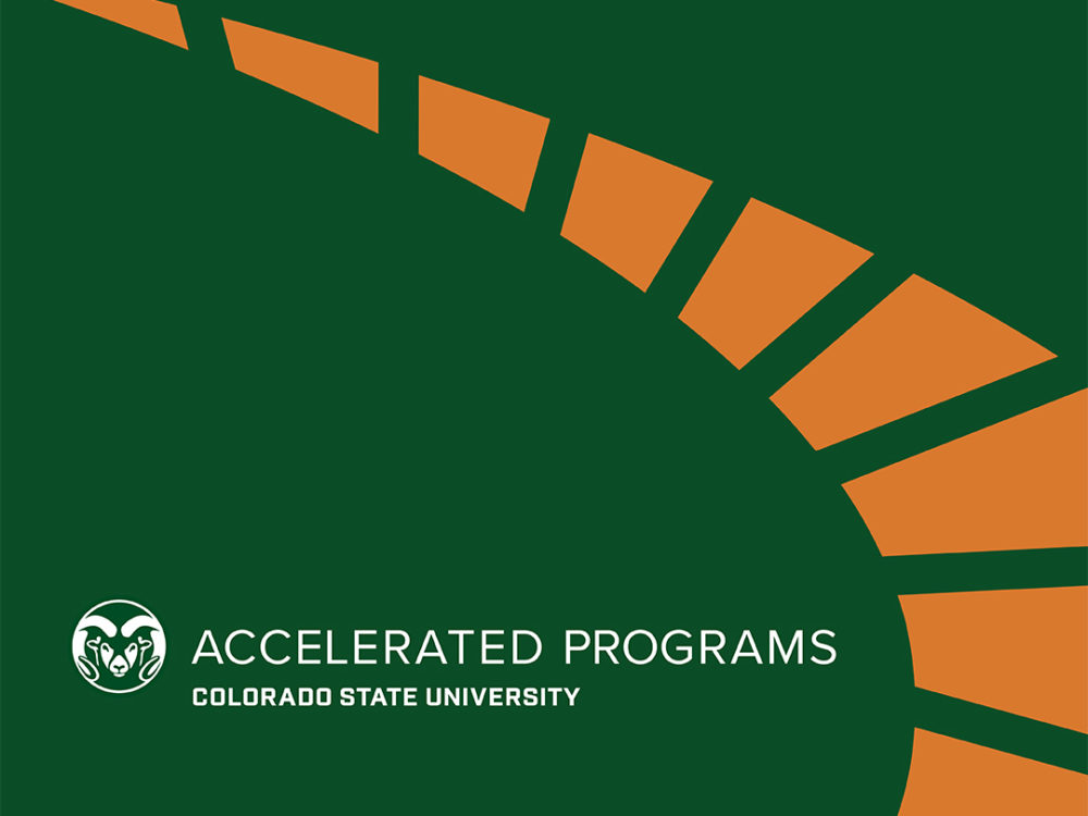 Accelerated Programs