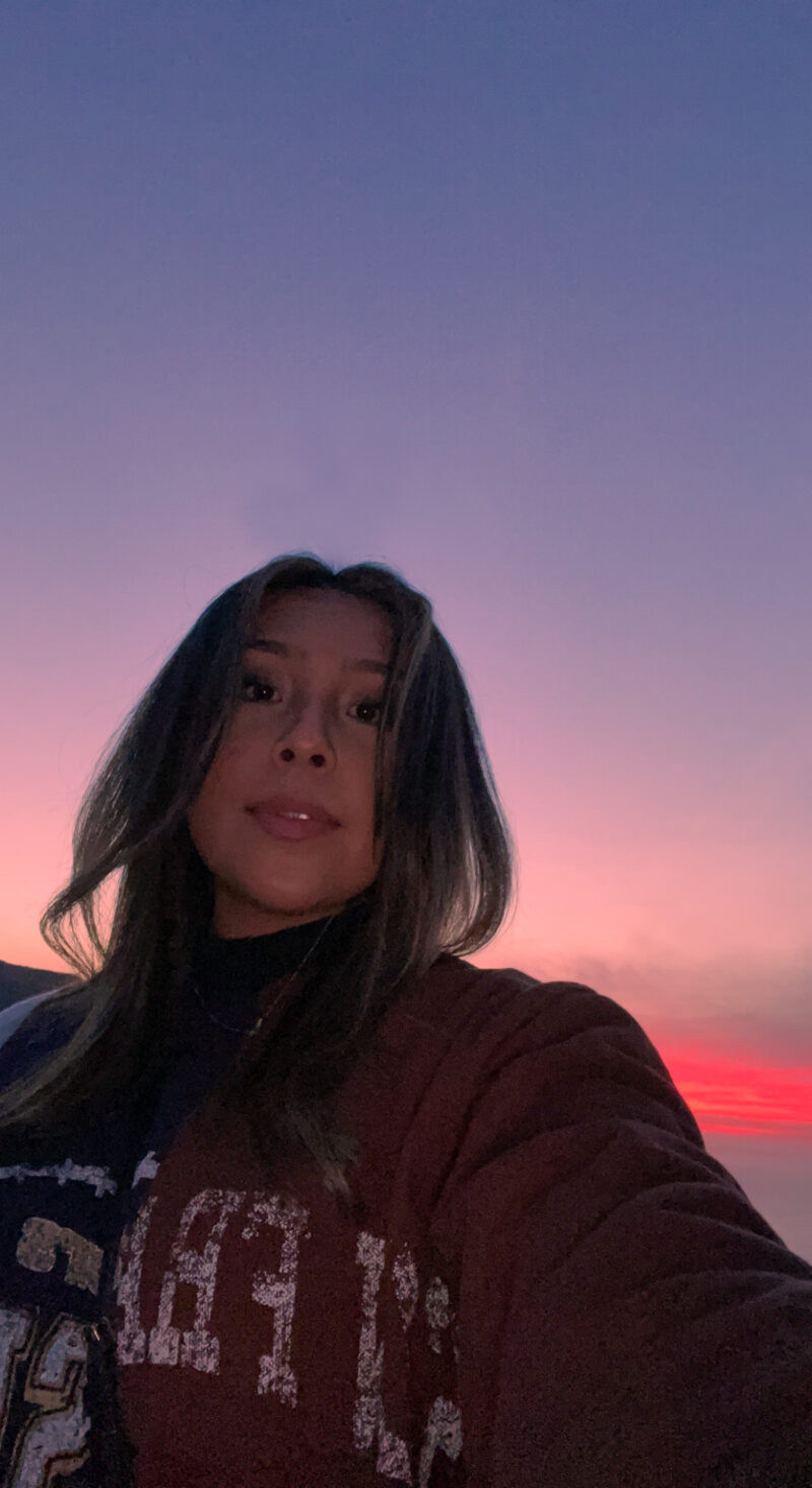 Person with long dark hair looks down with pink and purple sunset behind