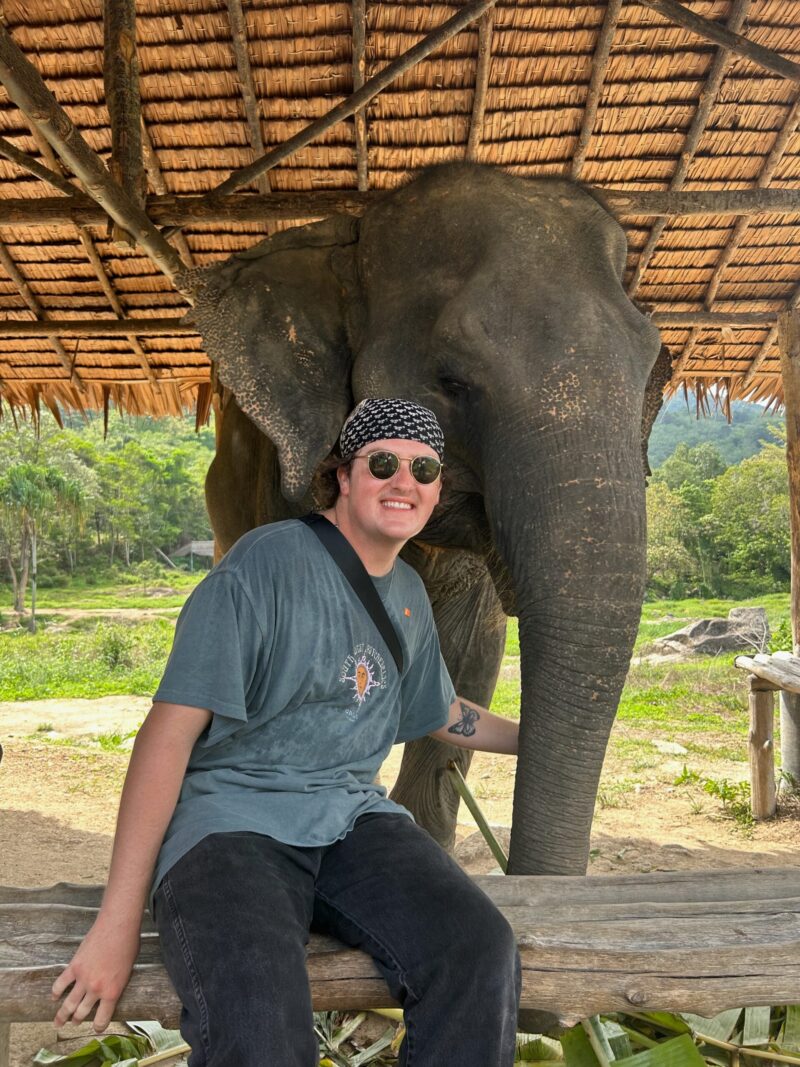 Person smiles in front of an elephant under a structure roof