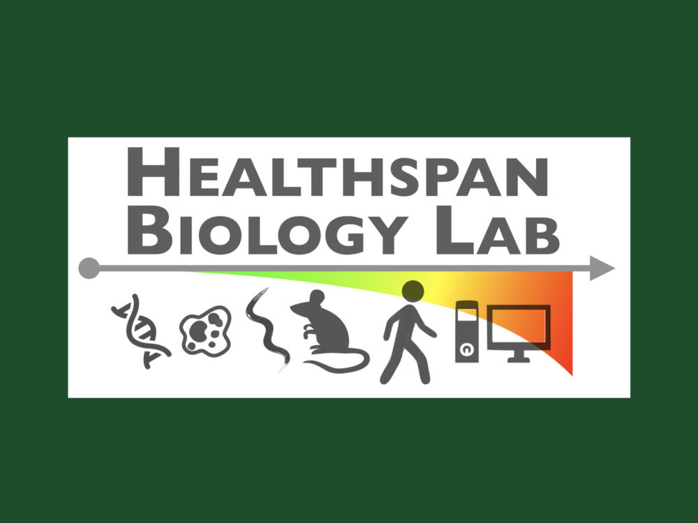 Healthspan Biology Lab