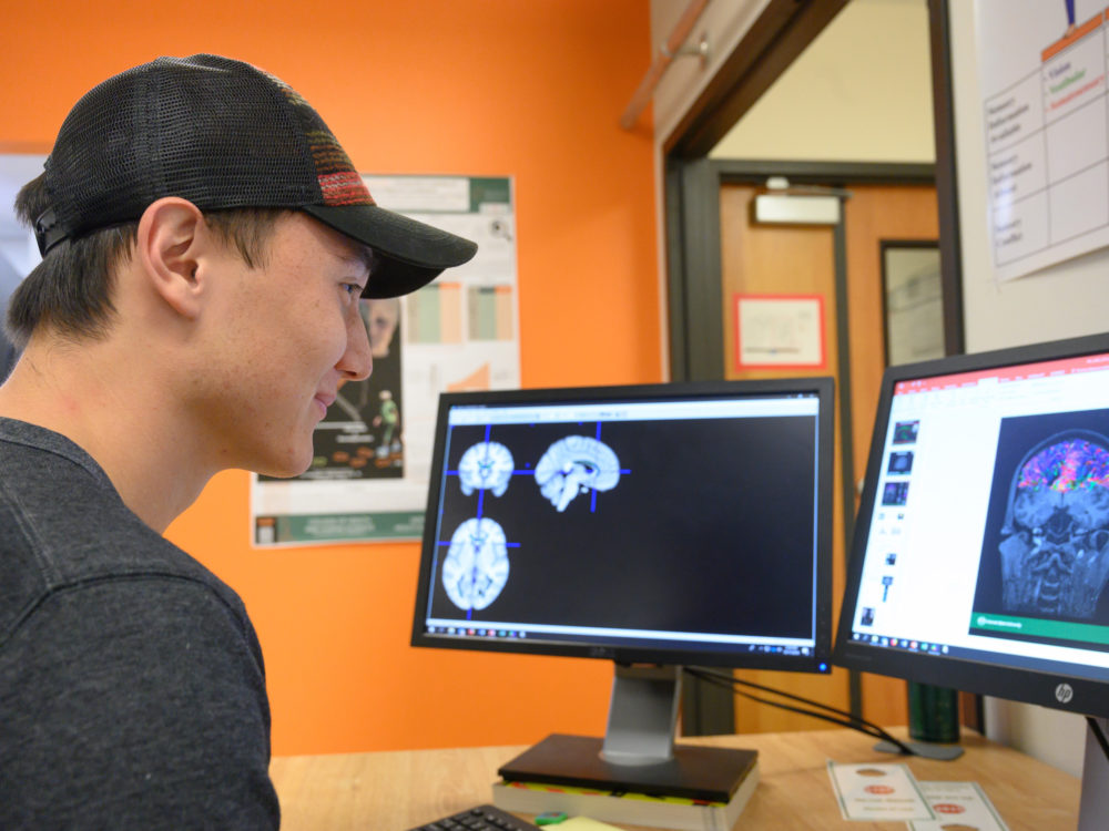 student looking at brain scan images on a computer