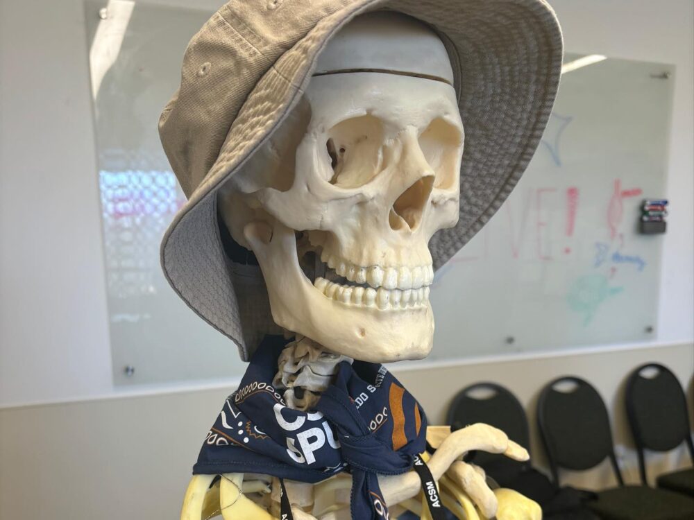 Senor Bones skeleton with a hat