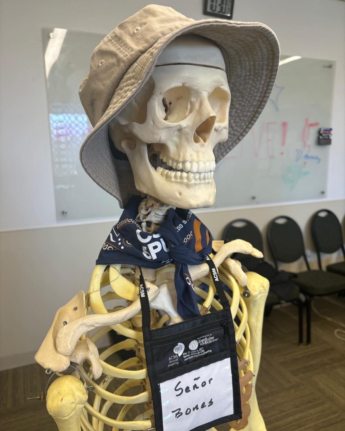 Senor Bones skeleton with a hat