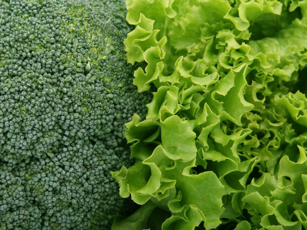 broccoli and lettuce