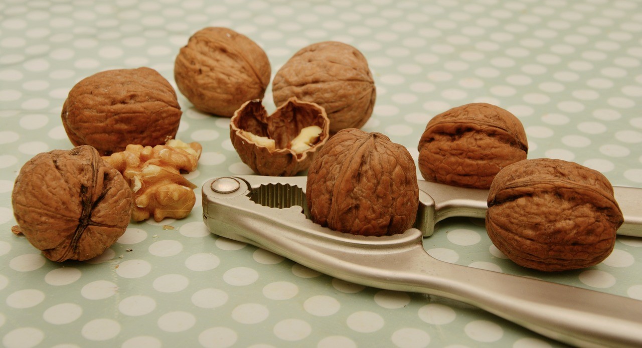 whole and shelled walnuts with nut cracker
