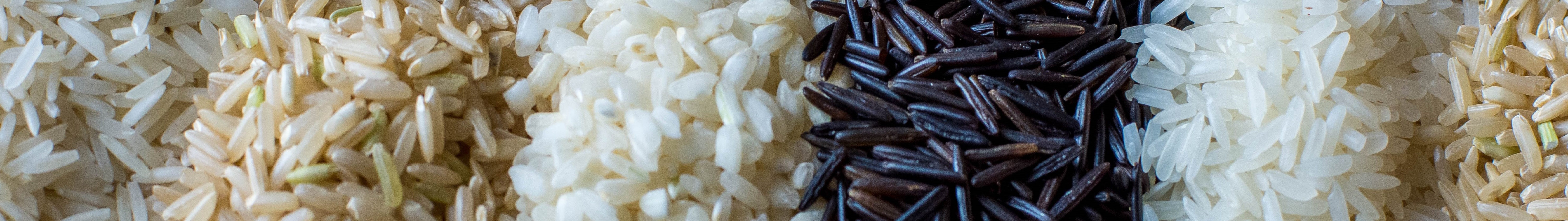 Rice Grains