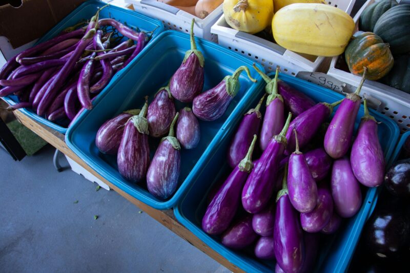 three varieties of purple eggplants in blue bins