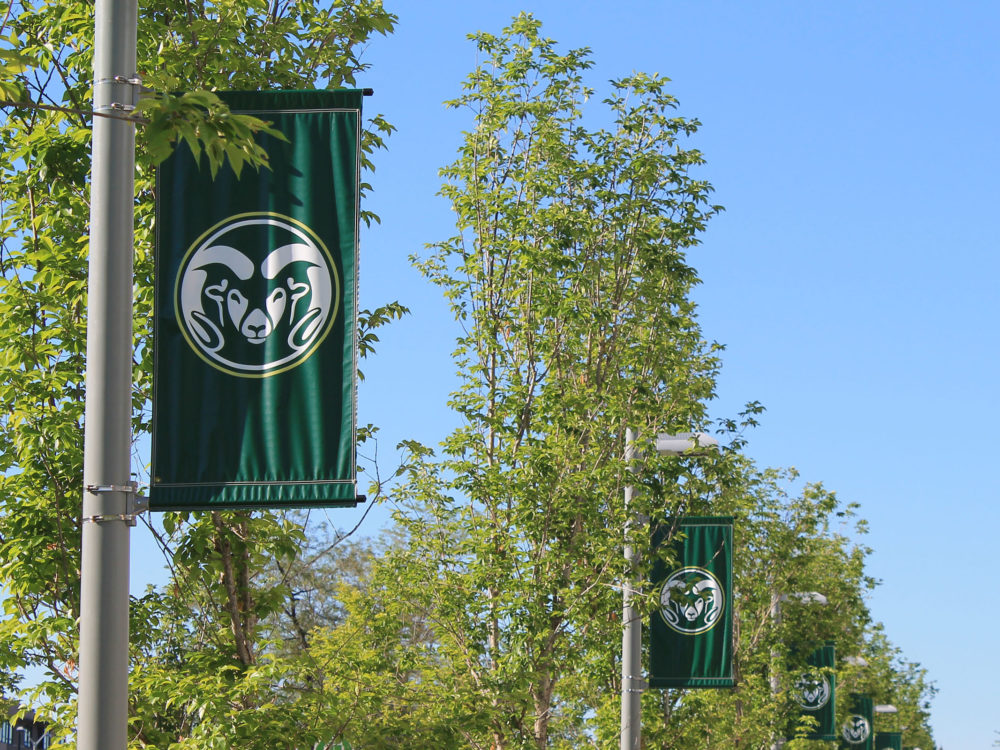 CSU logo banners along trees on campus