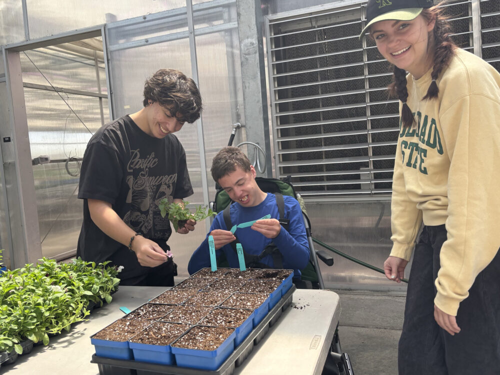 RAM Explorers participants in a greenhouse planting seeds