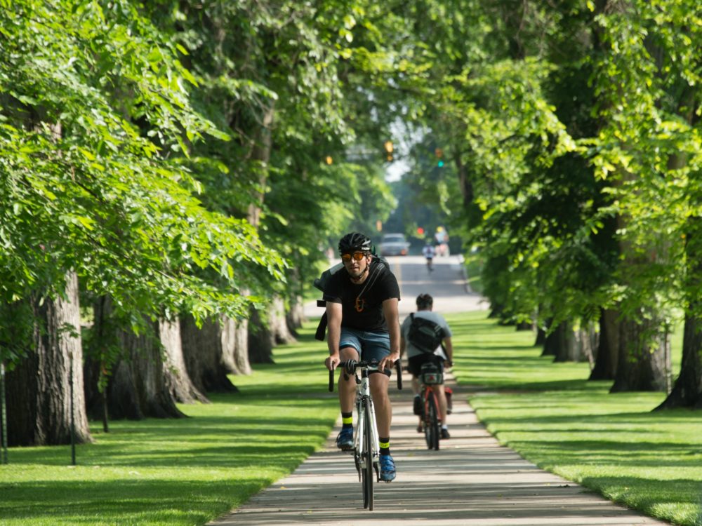 Student cycling on the CSU Oval