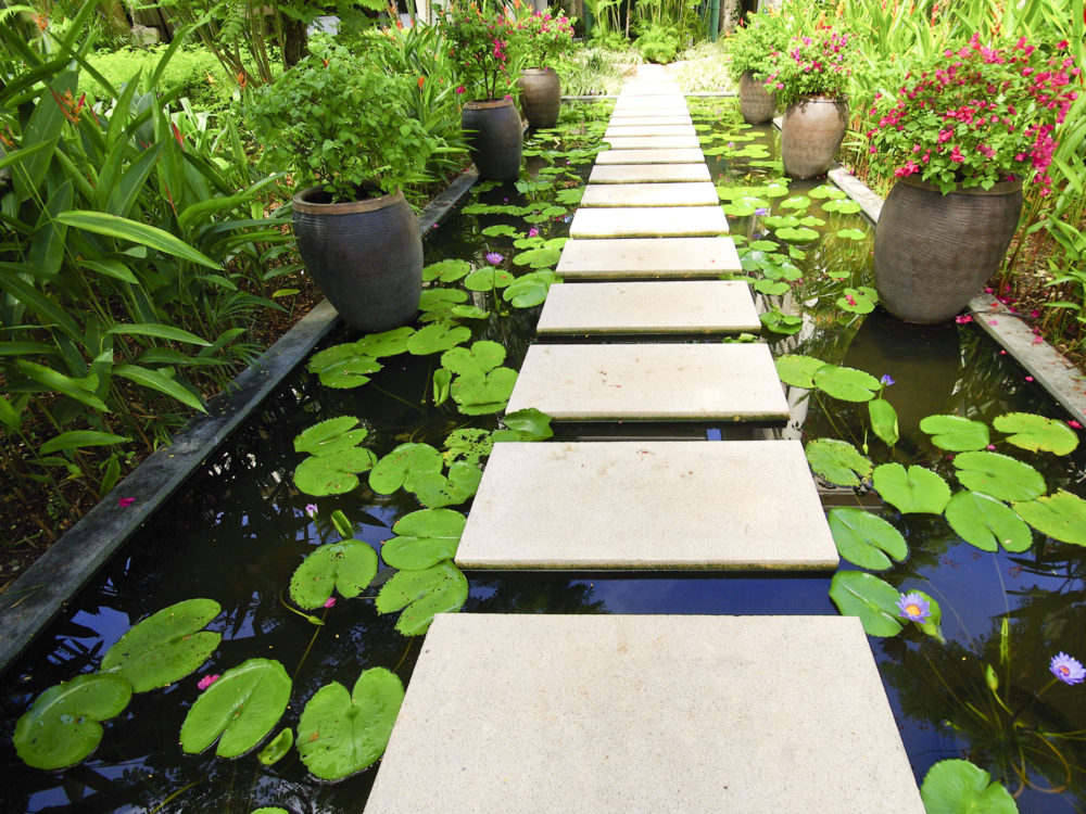 stone block path over lily pond