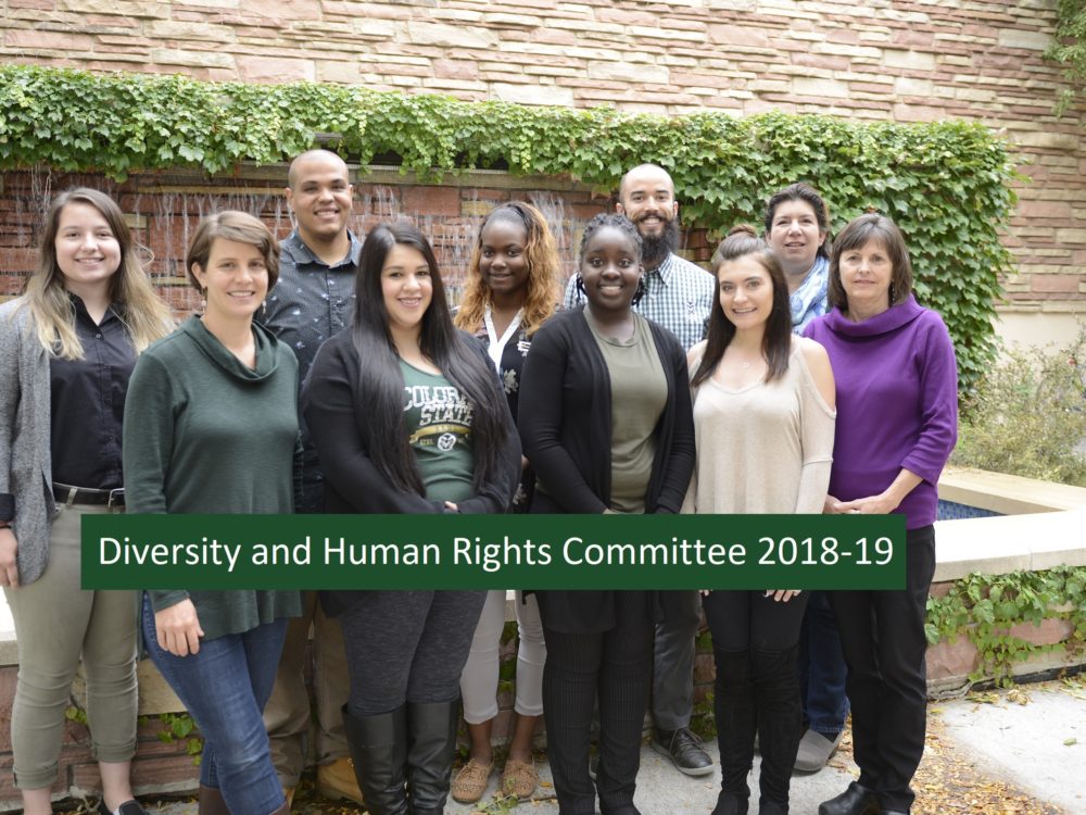diversity and human rights committee 2018-19