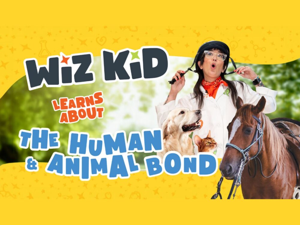 A YouTube thumbnail image that reads `Wiz Kid learns about the human and animal bond` with a photo of a dog, a cat, a horse, and CSU Wiz Kid wearing an equestrian helmet