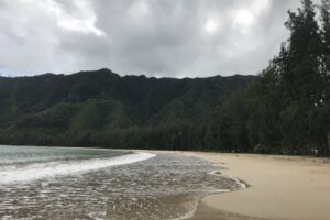 An empty shoreline on a cloudy day